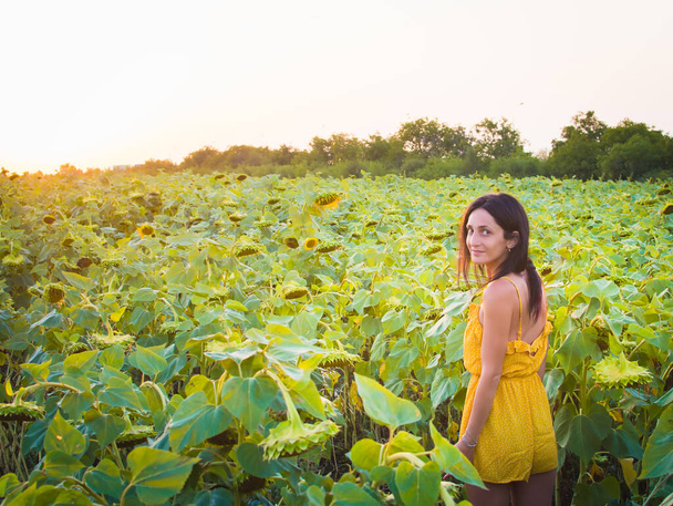 Beautiful brunette woman smiles standing looking straight in sunflower crop field during sunset - Fotoğraf, Görsel
