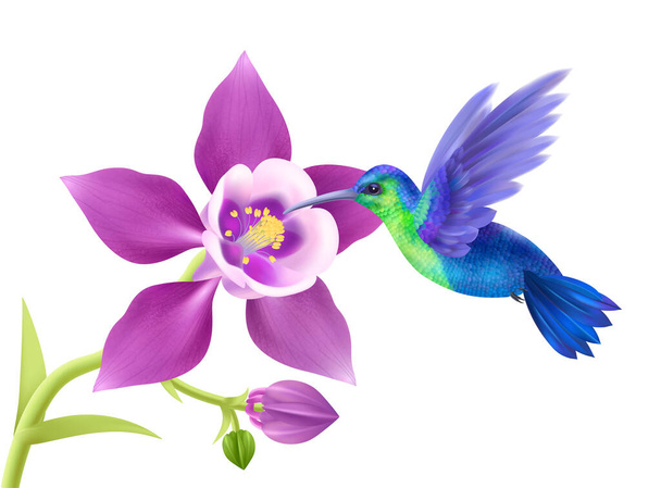 Hummingbird Realistic Concept - Vettoriali, immagini