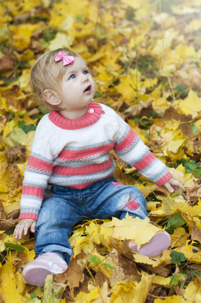 Baby girl with autumn leaves - Fotografie, Obrázek