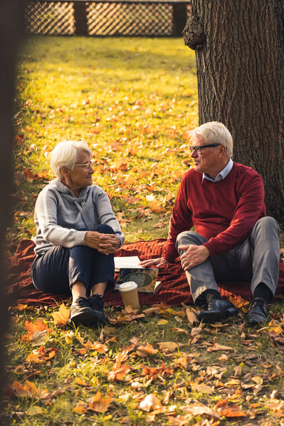 Vertical shot. Elderly caucasian couple sitting on blanket at the park drinking coffee, talking, sharing precious memories. Picnic concept. - Foto, afbeelding