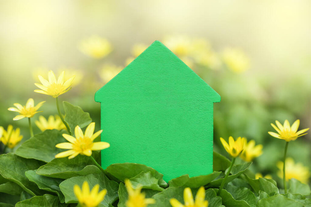 Green House on flower background. Copy space. Mock up. Decarbonization of Real Estate. - Foto, immagini