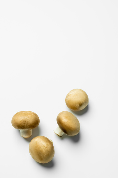 Bovenaanzicht van verse champignons op witte achtergrond  - Foto, afbeelding