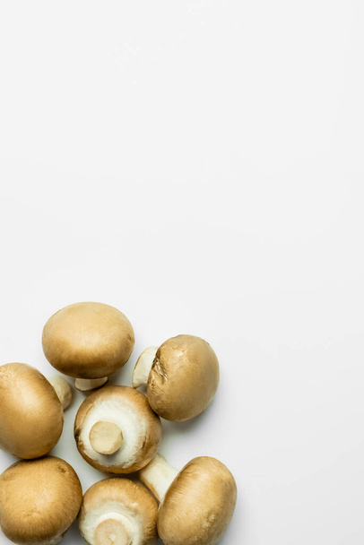 Top view of ripe mushrooms on white background with copy space - Fotoğraf, Görsel