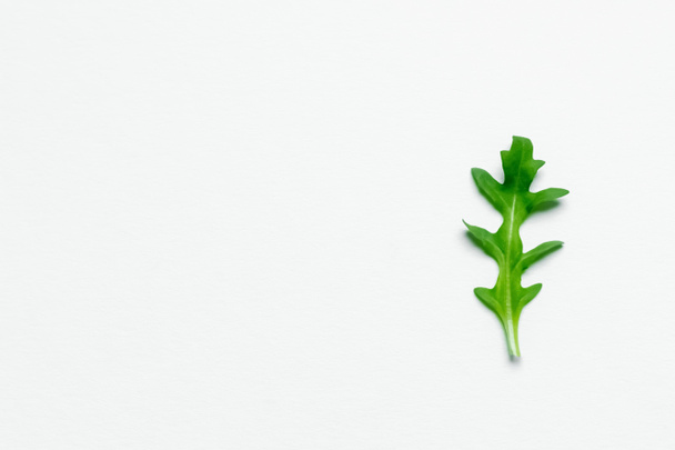 Top view of organic arugula leaf on white background  - Foto, afbeelding