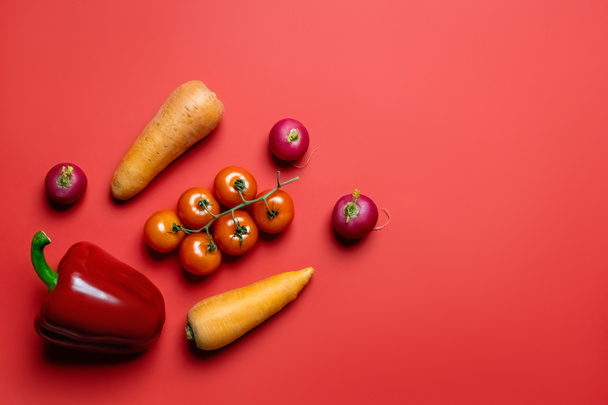 Top view of ripe vegetables on red background  - Фото, зображення