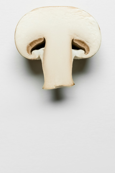 Крупним планом вид зрізаного гриба на білому тлі
 - Фото, зображення