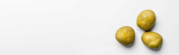 Top view of fresh potatoes on white background with copy space, banner  - Foto, afbeelding