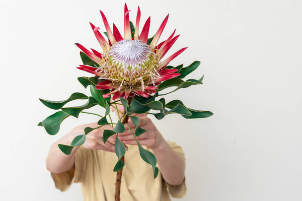A young woman with protea flower on a white background. - Fotó, kép