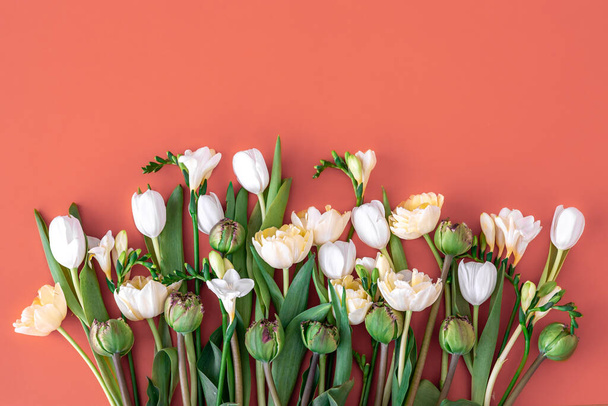 Bouquet di tulipani bianchi su sfondo rosso, posa piatta. - Foto, immagini