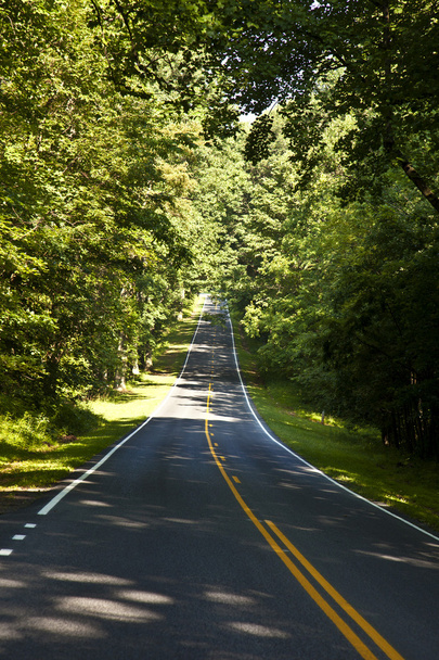Hermosas curvas de carreteras rurales panorámicas a través del Parque Nacional Shenandoah
 - Foto, Imagen
