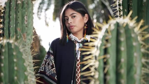 Portrait of Native American Woman in the desert. Pretty girl wearing ethnic traditional clothes behind cactus - Imágenes, Vídeo