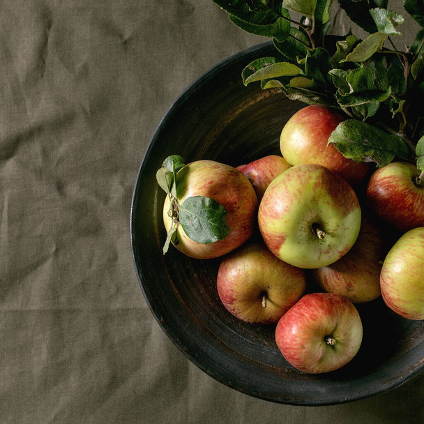 Ripe organic gardening green red apples with leaves in ceramic dish standing on dark table cloth. Black background. Autumn harvest. Top view, copy space. Square image - Foto, Bild