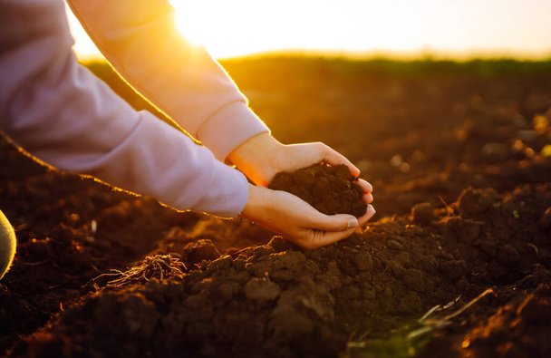 Female hands touching soil on the field at sunset. Agriculture, organic gardening, planting or ecology concept.  - Foto, Imagen
