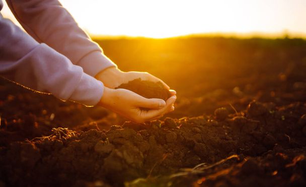 Female hands touching soil on the field at sunset. Agriculture, organic gardening, planting or ecology concept.  - Foto, Bild