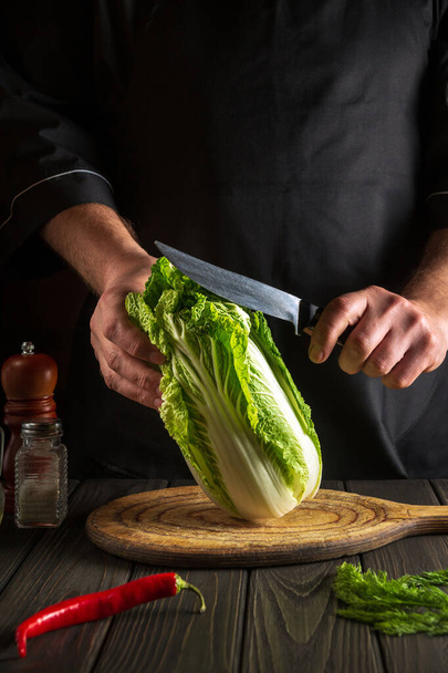 Professional chef cuts fresh napa cabbage with knife for salad on a vintage kitchen table with fresh vegetables. Cooking and restaurant or hotel concept - Foto, imagen