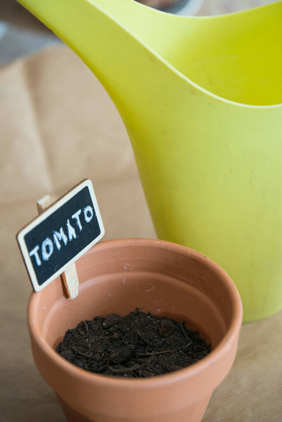 Small clay pot with tomato seeds to germinate. Green watering can behind.  - Foto, Imagem
