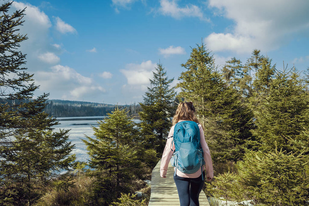 Hiking outdoors. A young woman tourist with a backpack walks through the forest and enjoys nature. Hiking. Active lifestyle. Solitary walks - Foto, Bild