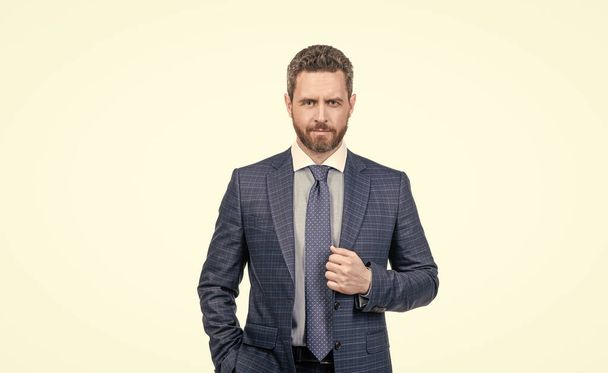 Gentleman of style. Bearded man wear suit isolated on white. Gentlemens fashion. Gentlemens tailor - Zdjęcie, obraz