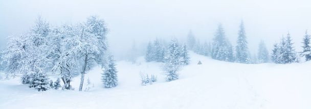 Prachtig winterlandschap met besneeuwde bomen. Winterbergen. - Foto, afbeelding