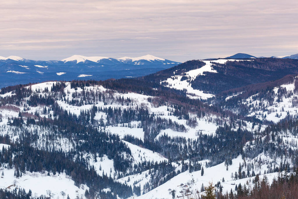 Slavske stok narciarski z niebieskim niebem otoczony górami i lasami. Karpaty, Ukraina.  - Zdjęcie, obraz