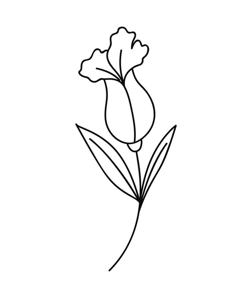 pretty flower design - Vector, Image