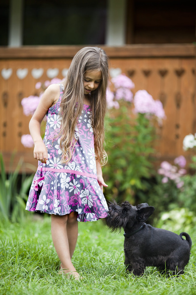 Little girl playing with her dog - Foto, imagen
