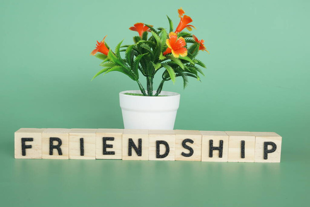 potted flower with wooden cubes. Friendship concept - Photo, Image