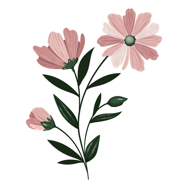 Ilustración flores rosadas
 - Vector, Imagen