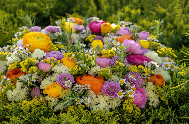 Kukkaseppele lähikuva näkymä. Tuoreita värikkäitä luonnonvaraisia kukkia ja yrttejä, puutarhan luonto, kevät. Naiset tai äitien päivä juhla kimppu - Valokuva, kuva