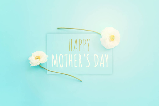 mother's day concept with white flowers over blue pastel background - 写真・画像