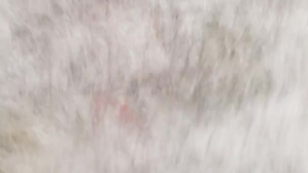 Крупним планом червоні краби на каменях
 - Кадри, відео