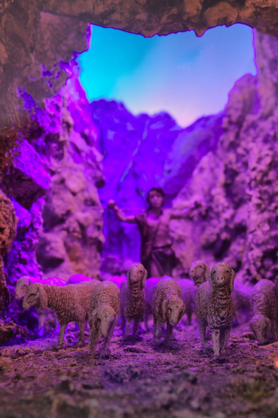 Schafe in der Höhle - Foto, Bild