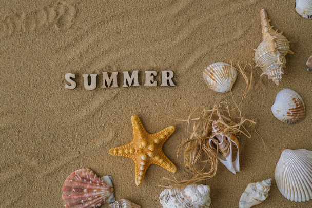 Composition with text SUMMER seashells, pebbles, mockup on sand background. Blank, top view, still life, flat lay. Sea vacation travel concept tourism and resorts. Summer holidays - Photo, Image