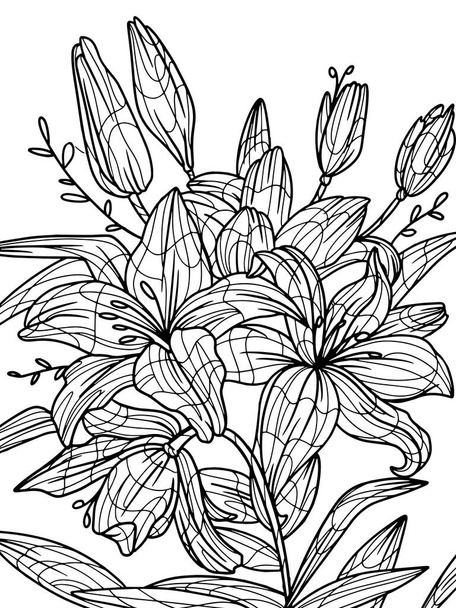 Flowers lilium isolated object. Coloring book antistress for children and adults. Zen-tangle style. - Вектор,изображение