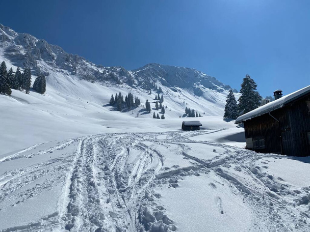 Ihana talvi vaellus polkuja ja jälkiä rinteillä Alpstein vuorijono ja tuoreen Alppien lumipeite Sveitsin Alpeilla, Nesslau Obertoggenburg, Sveitsi (Schweiz) - Valokuva, kuva