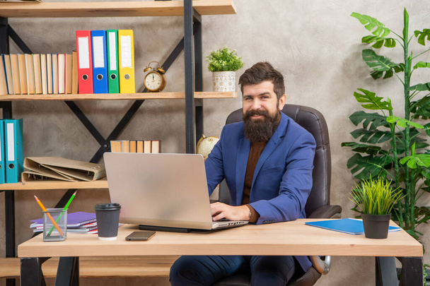 smiling confident bearded boss study online on laptop in the office, office worker - Valokuva, kuva