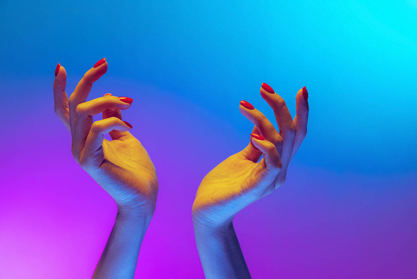 Pray for peace. Human hands gesturing on gradient blue and purple background in neon. Concept of human rights, social issues, gathering. - Fotografie, Obrázek