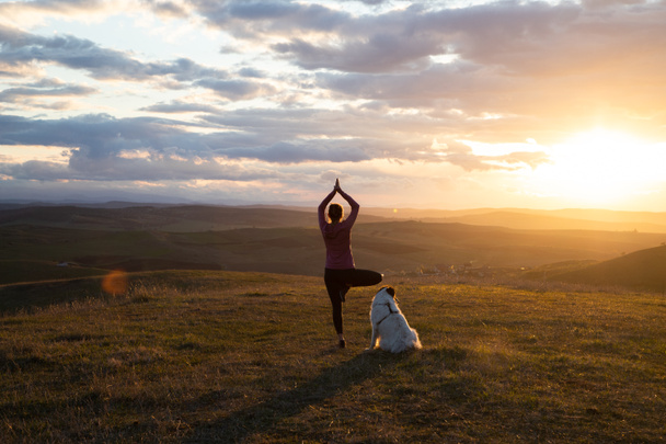 femme avec chien blanc faisant du yoga au coucher du soleil pose vrksasana - Photo, image