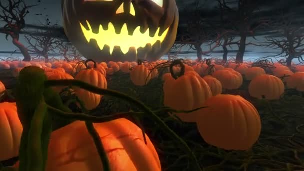 King of pumpkins. Horror Halloween 3d animation. Giant jack o' lantern rolling by  pumpkin field - Πλάνα, βίντεο