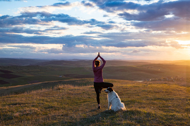 mujer con perro blanco haciendo yoga al atardecer pose vrksasana - Foto, imagen