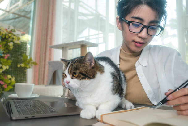 Young Asian woman working from home with her cat at home. - Fotoğraf, Görsel