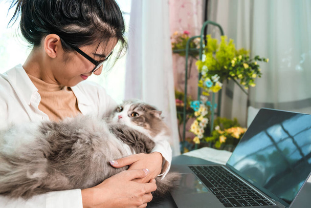 Giovane donna asiatica che lavora da casa con il suo gatto a casa. - Foto, immagini