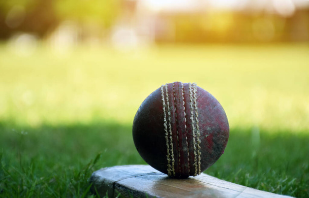 Cricket sport equipments, old leather ball, wooden bat, helmet on court, soft and selective focus. - Foto, Bild