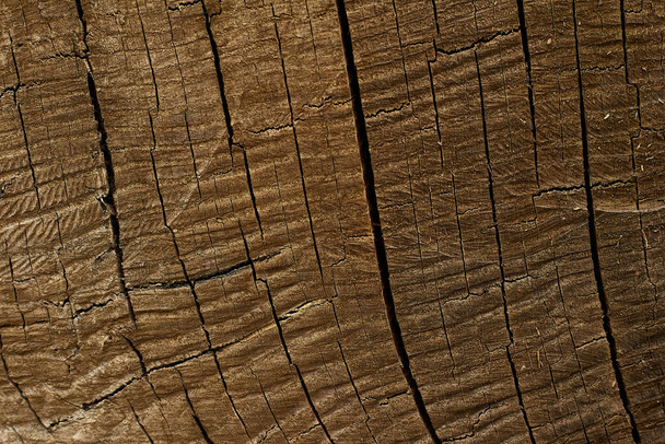 Dark brown wood surface oak color Split pattern for texture and copy space in design background - Photo, Image