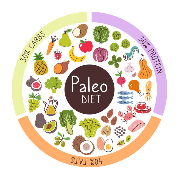 Paleo diet food ingredients. Percentages of carbs, protein, and fats most used in this diet. Food icon collection. - Vetor, Imagem
