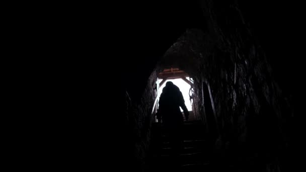 Silueta de una mujer saliendo a la luz en un túnel oscuro. El concepto de salida y depresión.  - Metraje, vídeo