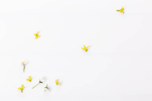 Lente frame van kleine bloemen en madeliefje, zomer bloemstuk - Foto, afbeelding