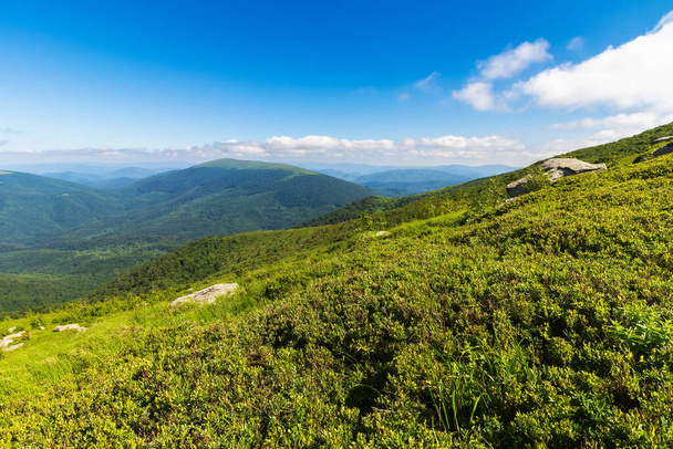 green mountain landscape. summer nature scenery with summit in the distance. beautiful view in morning light - 写真・画像