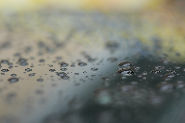 abstract water drop, selective focus - Photo, image