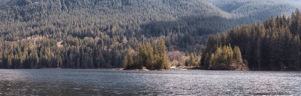 Panoramic View of Canadian Nature Landscape. Green Trees, Mountains, and Water. - Foto, Imagen